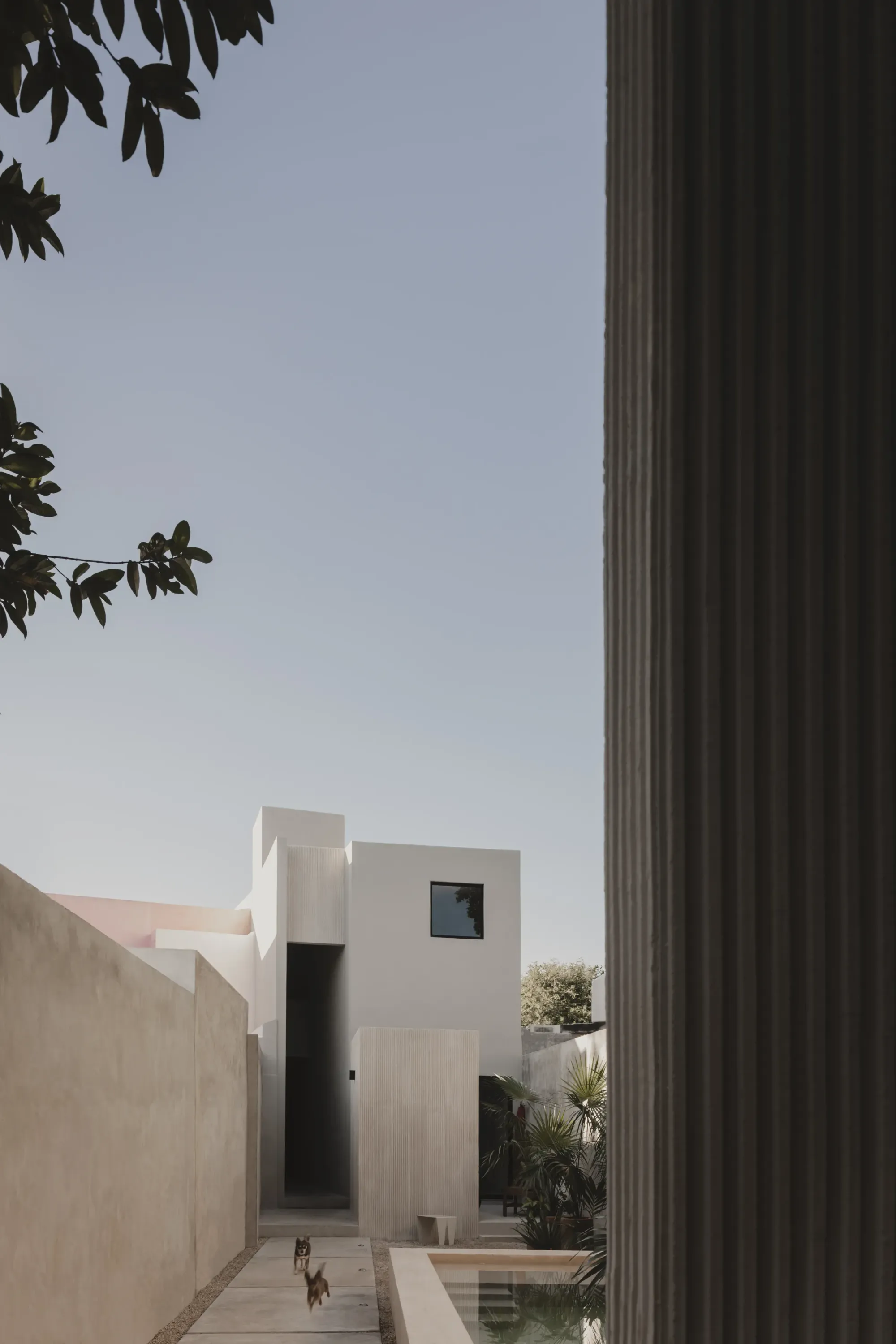 El Tirón — vista 4